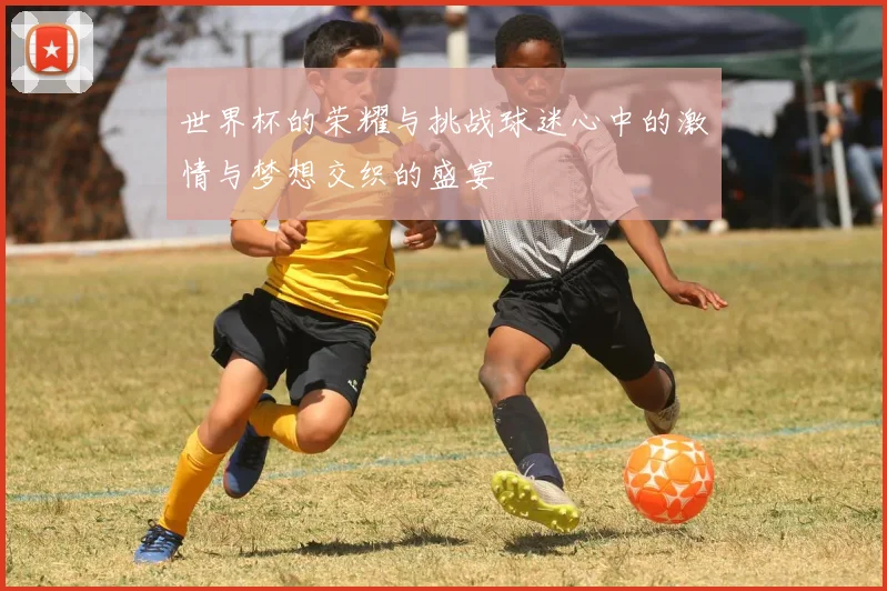 世界杯的荣耀与挑战球迷心中的激情与梦想交织的盛宴