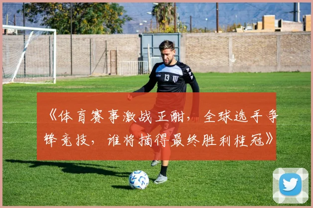 《体育赛事激战正酣，全球选手争锋竞技，谁将摘得最终胜利桂冠》