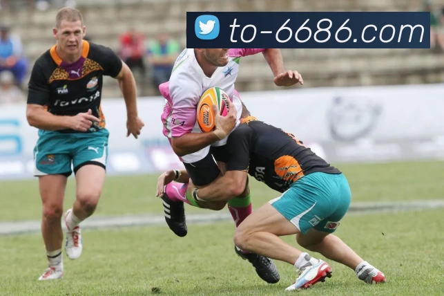 App Interface Preview