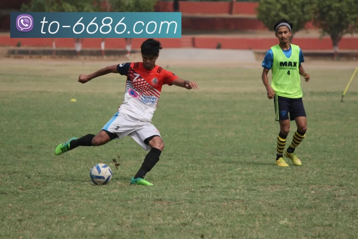 6686官网APP 封面图